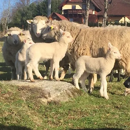Farma Zleby Inn Ceske Zleby